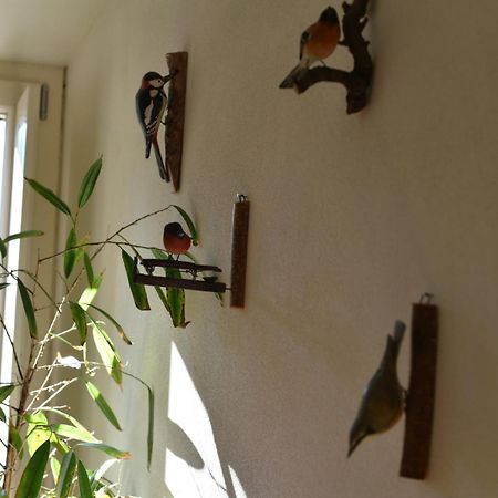 Stazzema B&B Convivium מראה חיצוני תמונה